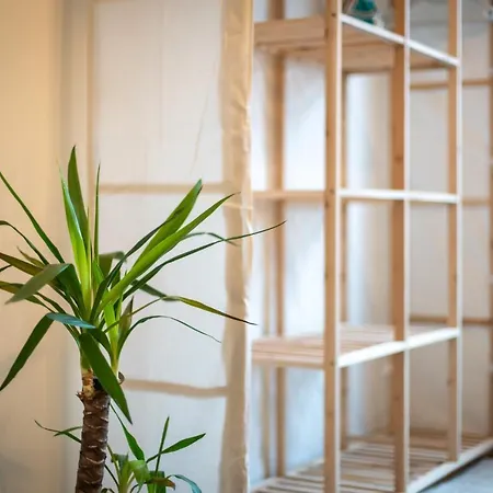 Guermache - Jungle Design Apartments, Zentrum, Parkplatz, Kueche, Wlan *