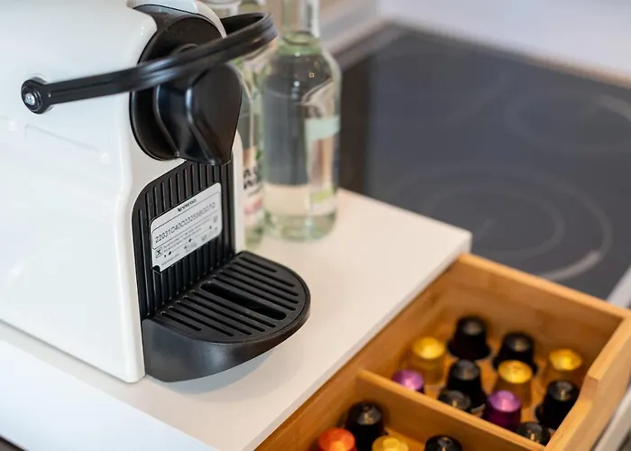 Guermache - Jungle Design Apartments, Zentrum, Parkplatz, Kueche, Wlan