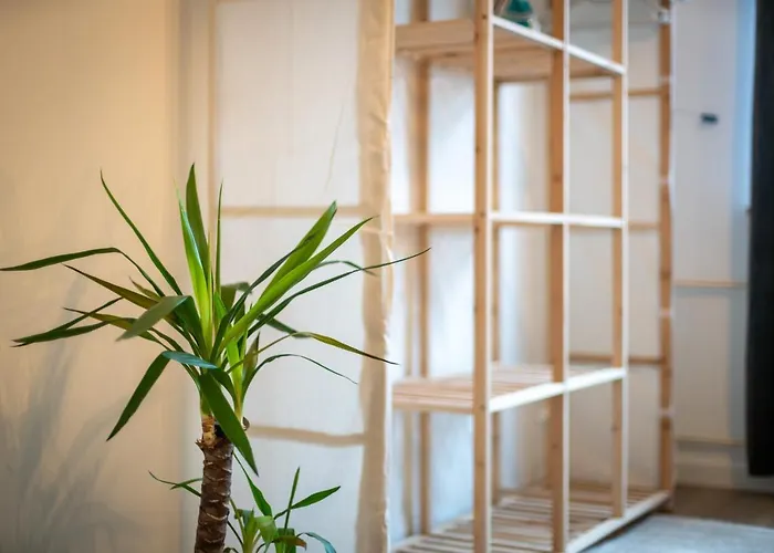 Guermache - Jungle Design Apartments, Zentrum, Parkplatz, Kueche, Wlan *